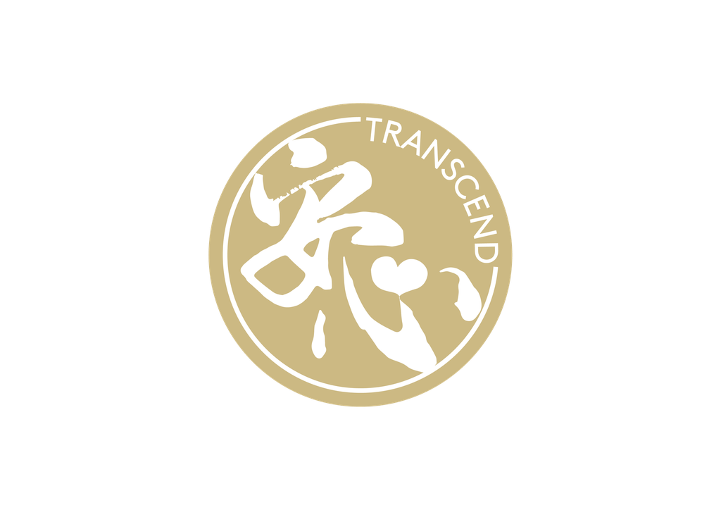 TRANSCEND PACKAGE